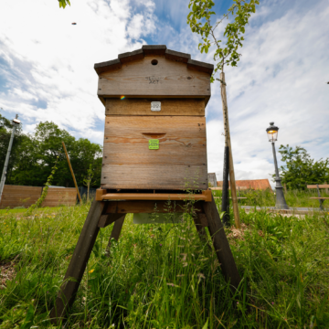 Ruche jardins green seminaires 62