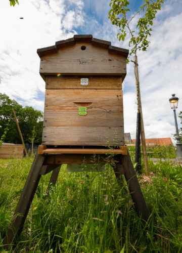 Ruche jardins green seminaires 62